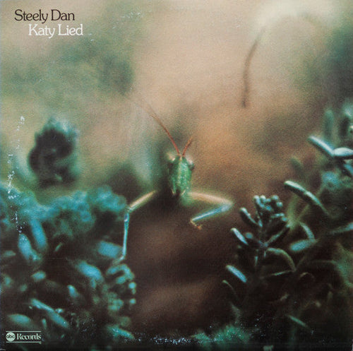 Steely Dan - Katy Lied - White Hot Stamper (With Issues)